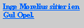 Text Box: Inge Morelius sitter i en Gul Opel.